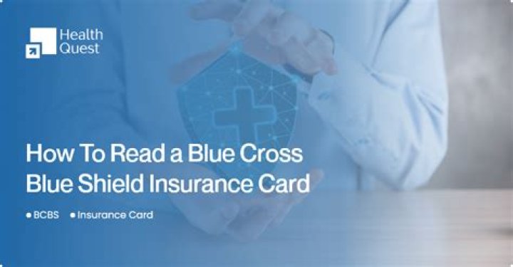 Comprehensive Guide to BCBS Insurance: Everything You Need to Know