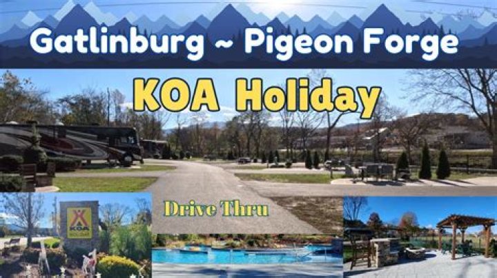 Koa in Pigeon Forge TN: Your Ultimate Guide to Nature and Adventure